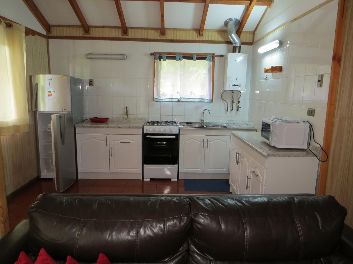 Aliwen Lodge Las Trancas