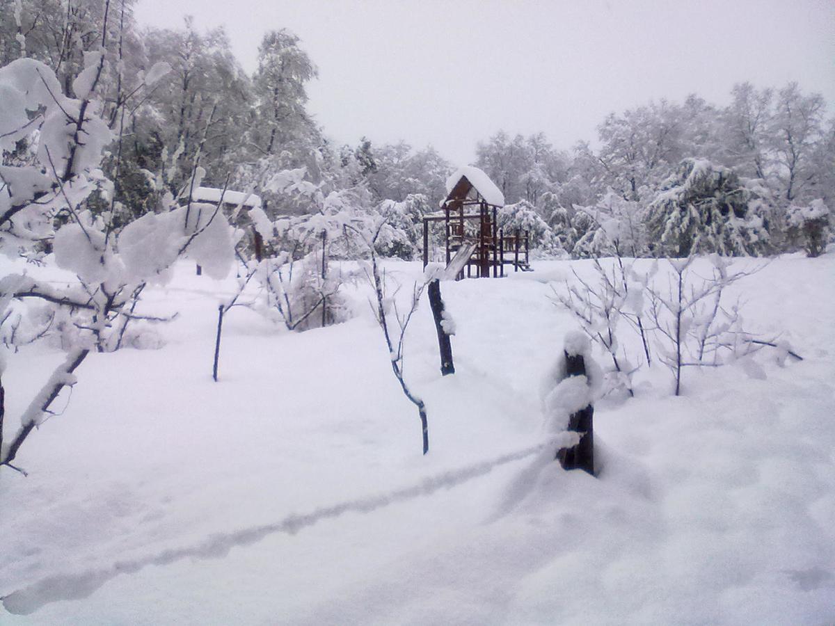 Aliwen Lodge